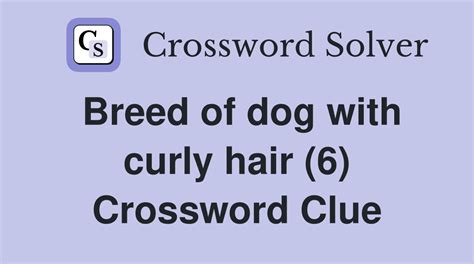 curly haired dogs crossword|curly hair dogs la times crossword.